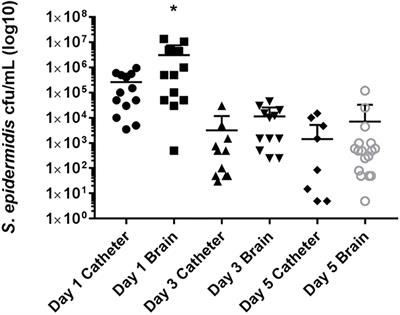 Attenuated inflammatory response in infant mice with Staphylococcus epidermidis CNS catheter infection